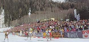 Biathlon.jpg (26697 Byte)